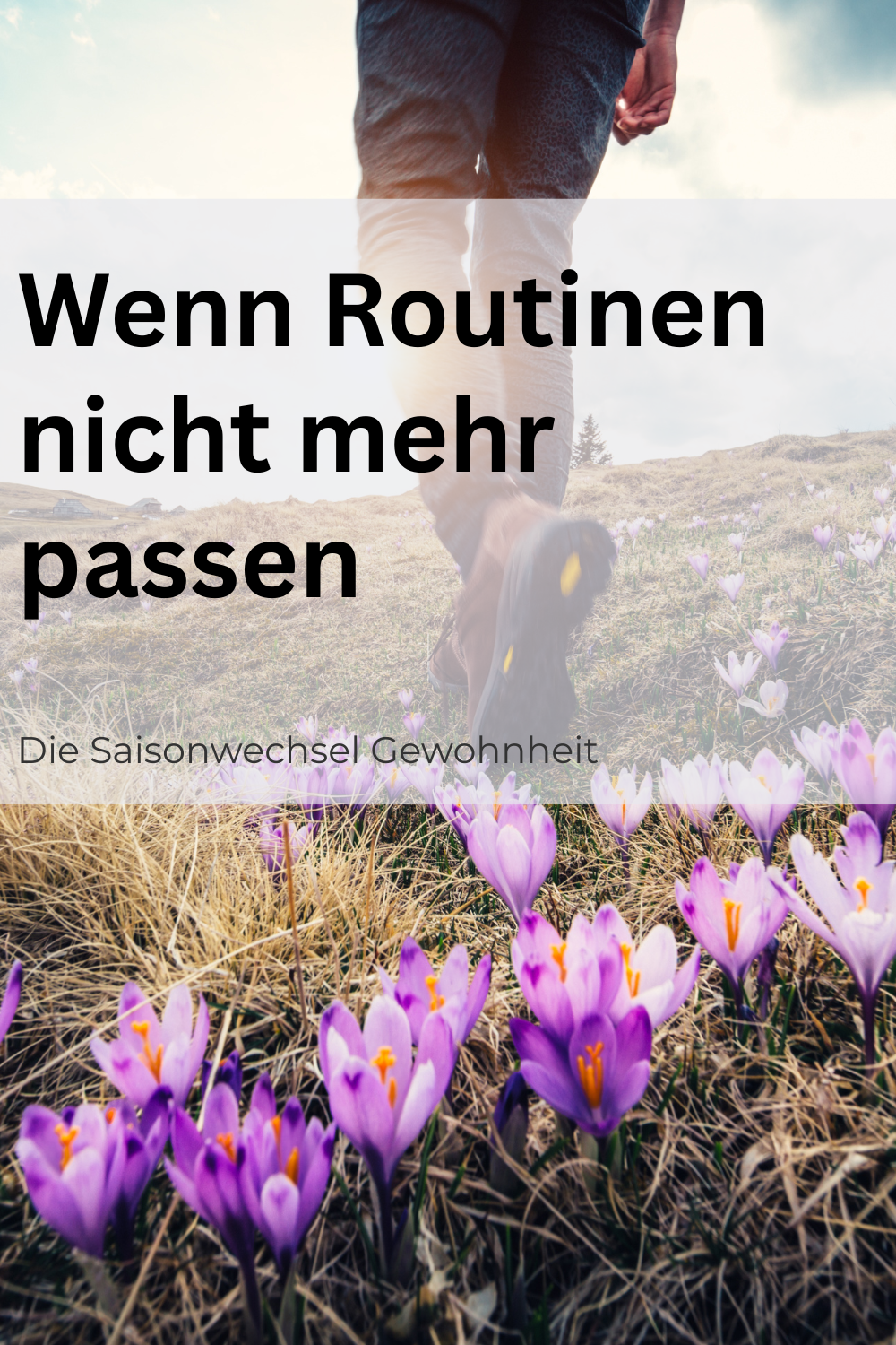 Die Saisonwechsel-Gewohnheit